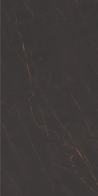 Galaxia Black Levigato (R/L) 12 x 24